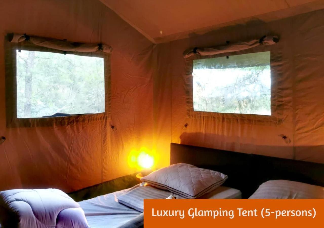 Glamping In Nature By Outdoors Holten Eksteriør bilde