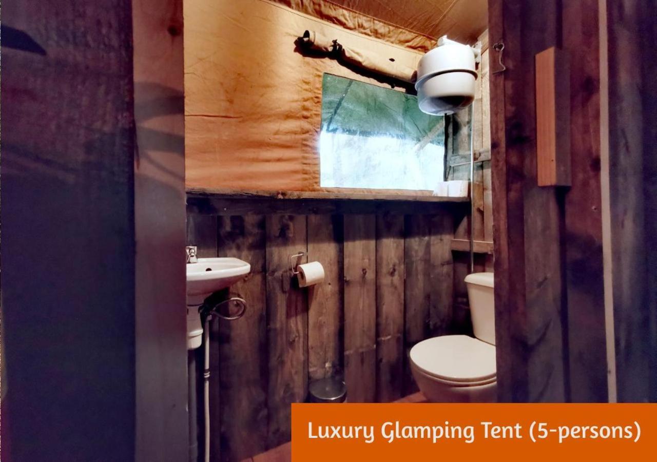 Glamping In Nature By Outdoors Holten Eksteriør bilde