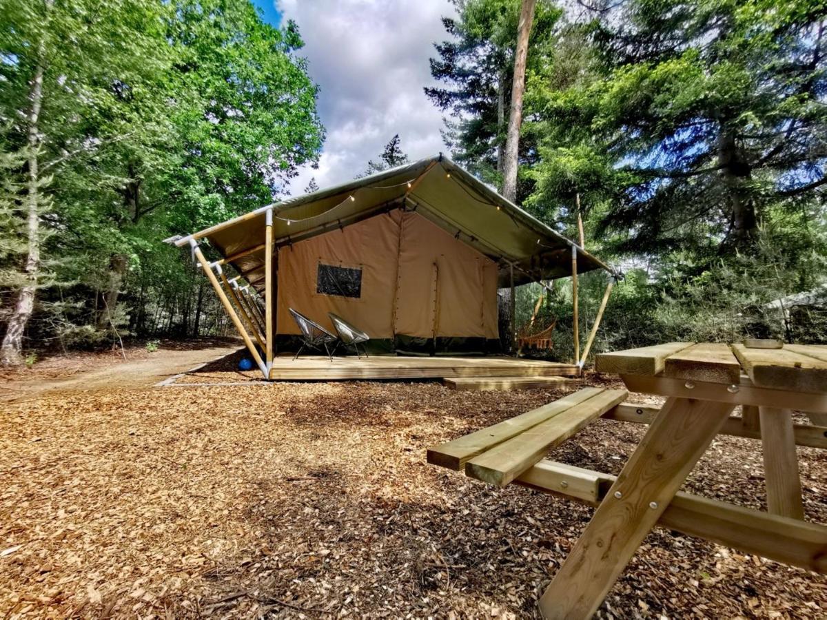 Glamping In Nature By Outdoors Holten Eksteriør bilde