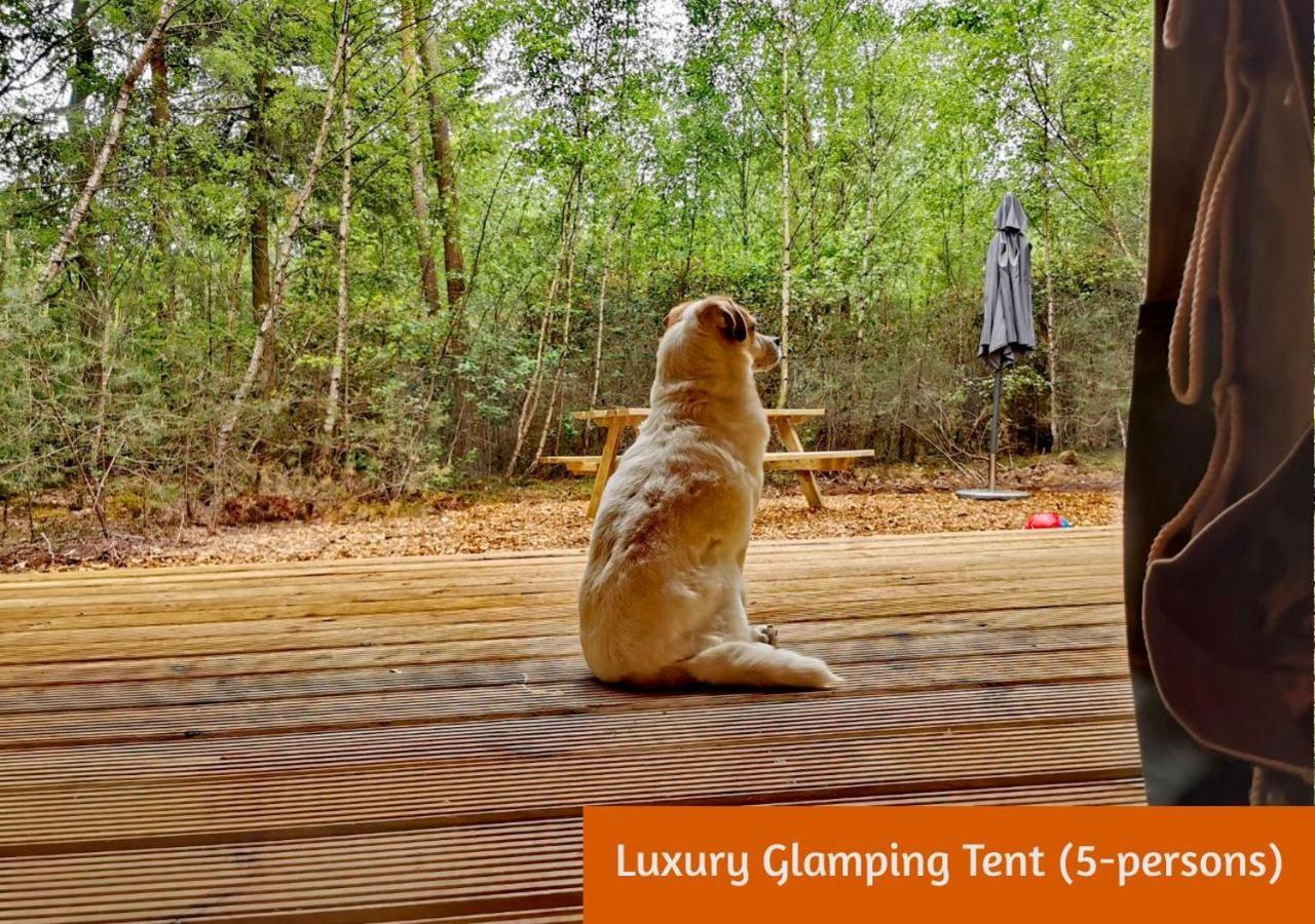 Glamping In Nature By Outdoors Holten Eksteriør bilde